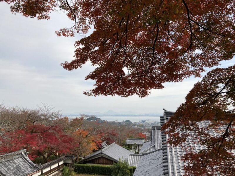 西教寺境内から見える琵琶湖