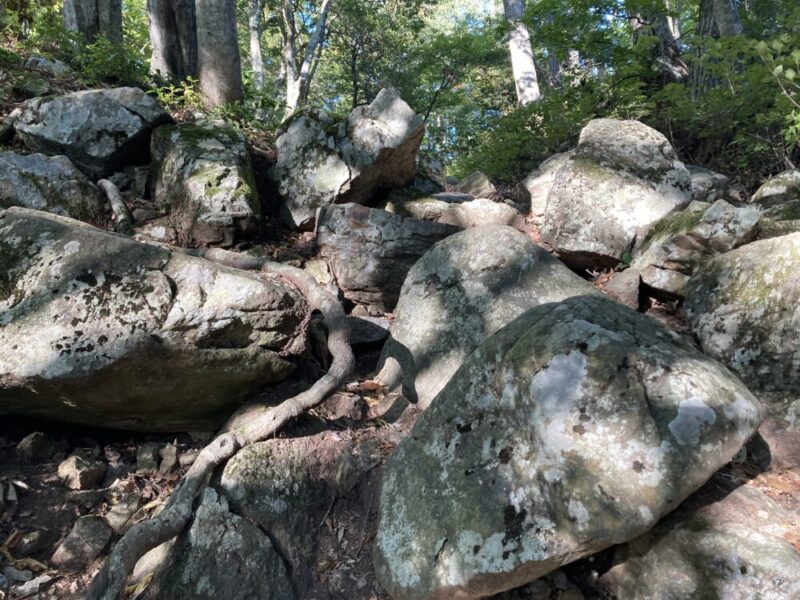 山王丸跡付近に転がるたくさんの大きな石